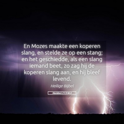 Picture 05 - Numberi 21:9 NLD - En Mozes maakte een koperen slang, en stelde ze - Bible Verse Picture