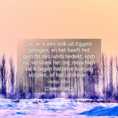 Picture 05 - Numberi 22:11 NLD - Zie, er is een volk uit Egypte getogen, en het - Bible Verse Picture