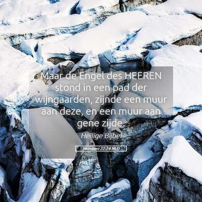 Picture 05 - Numberi 22:24 NLD - Maar de Engel des HEEREN stond in een pad der - Bible Verse Picture