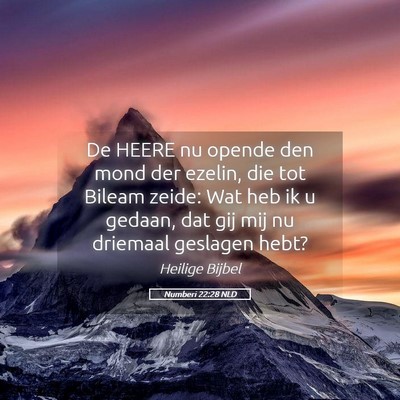 Picture 05 - Numberi 22:28 NLD - De HEERE nu opende den mond der ezelin, die tot - Bible Verse Picture