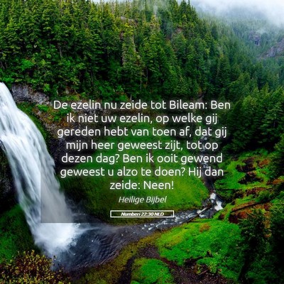 Picture 05 - Numberi 22:30 NLD - De ezelin nu zeide tot Bileam: Ben ik niet uw - Bible Verse Picture