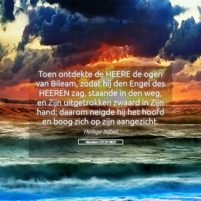 Picture 05 - Numberi 22:31 NLD - Toen ontdekte de HEERE de ogen van Bileam, zodat - Bible Verse Picture