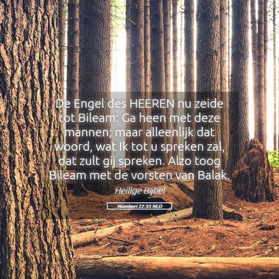 Picture 05 - Numberi 22:35 NLD - De Engel des HEEREN nu zeide tot Bileam: Ga heen - Bible Verse Picture