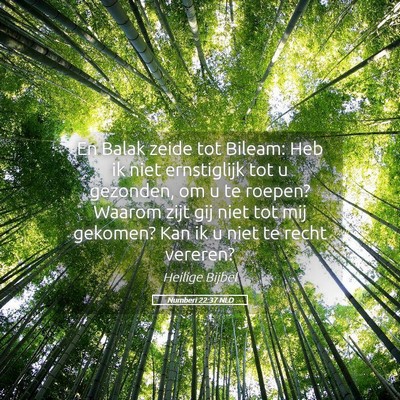Picture 05 - Numberi 22:37 NLD - En Balak zeide tot Bileam: Heb ik niet - Bible Verse Picture