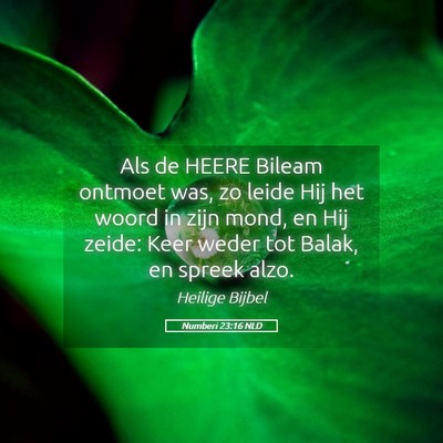 Picture 05 - Numberi 23:16 NLD - Als de HEERE Bileam ontmoet was, zo leide Hij het - Bible Verse Picture