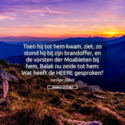 Picture 05 - Numberi 23:17 NLD - Toen hij tot hem kwam, ziet, zo stond hij bij - Bible Verse Picture
