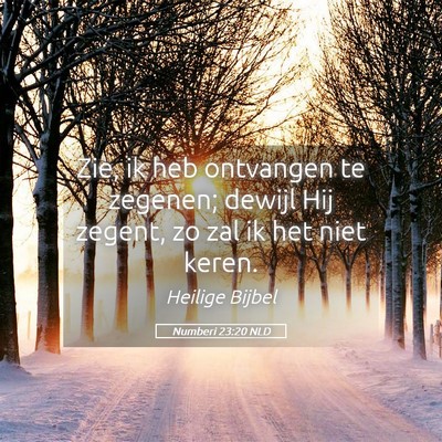 Picture 05 - Numberi 23:20 NLD - Zie, ik heb ontvangen te zegenen; dewijl Hij - Bible Verse Picture