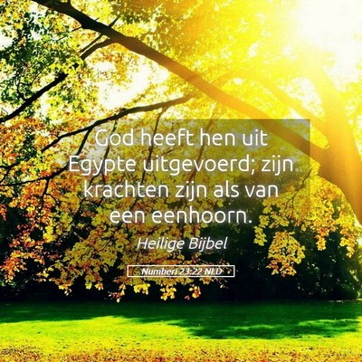 Picture 05 - Numberi 23:22 NLD - God heeft hen uit Egypte uitgevoerd; zijn - Bible Verse Picture