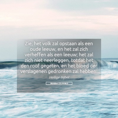 Picture 05 - Numberi 23:24 NLD - Zie, het volk zal opstaan als een oude leeuw, en - Bible Verse Picture
