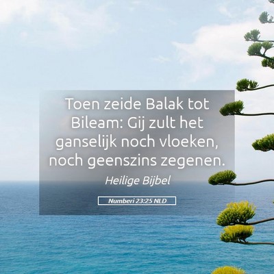 Picture 05 - Numberi 23:25 NLD - Toen zeide Balak tot Bileam: Gij zult het - Bible Verse Picture