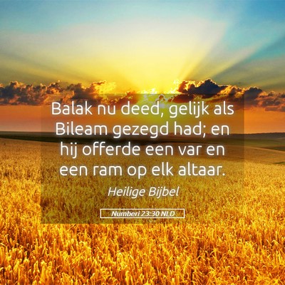 Picture 05 - Numberi 23:30 NLD - Balak nu deed, gelijk als Bileam gezegd had; en - Bible Verse Picture