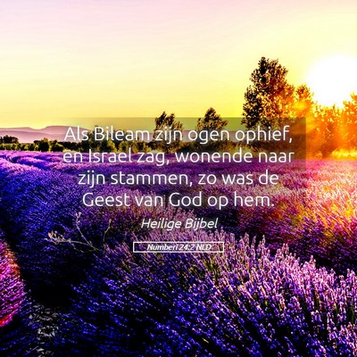 Picture 05 - Numberi 24:2 NLD - Als Bileam zijn ogen ophief, en Israel zag, - Bible Verse Picture