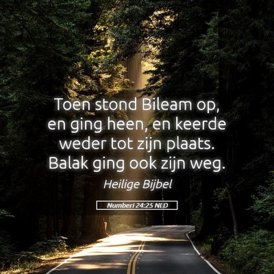 Picture 05 - Numberi 24:25 NLD - Toen stond Bileam op, en ging heen, en keerde - Bible Verse Picture