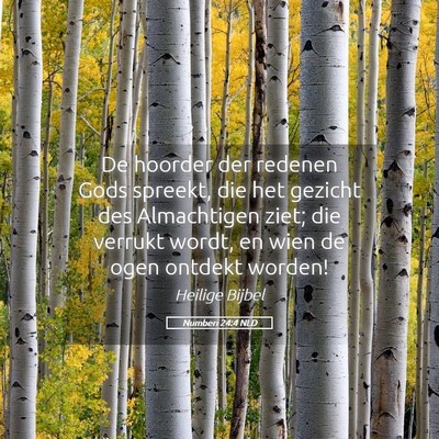 Picture 05 - Numberi 24:4 NLD - De hoorder der redenen Gods spreekt, die het - Bible Verse Picture