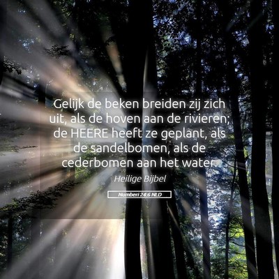 Picture 05 - Numberi 24:6 NLD - Gelijk de beken breiden zij zich uit, als de - Bible Verse Picture