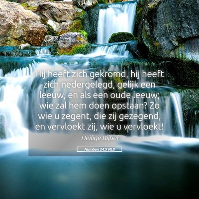 Picture 05 - Numberi 24:9 NLD - Hij heeft zich gekromd, hij heeft zich - Bible Verse Picture
