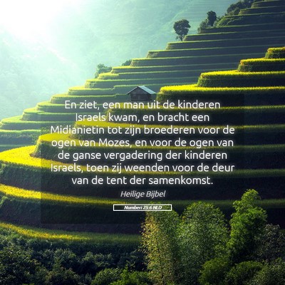 Picture 05 - Numberi 25:6 NLD - En ziet, een man uit de kinderen Israels kwam, en - Bible Verse Picture