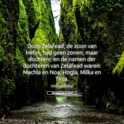 Picture 05 - Numberi 26:33 NLD - Doch Zelafead, de zoon van Hefer, had geen zonen, - Bible Verse Picture