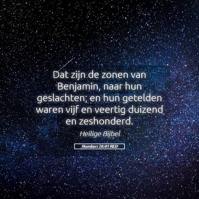 Picture 05 - Numberi 26:41 NLD - Dat zijn de zonen van Benjamin, naar hun - Bible Verse Picture
