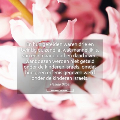 Picture 05 - Numberi 26:62 NLD - En hun getelden waren drie en twintig duizend, al - Bible Verse Picture