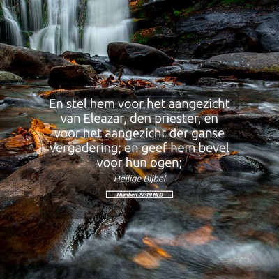 Picture 05 - Numberi 27:19 NLD - En stel hem voor het aangezicht van Eleazar, den - Bible Verse Picture