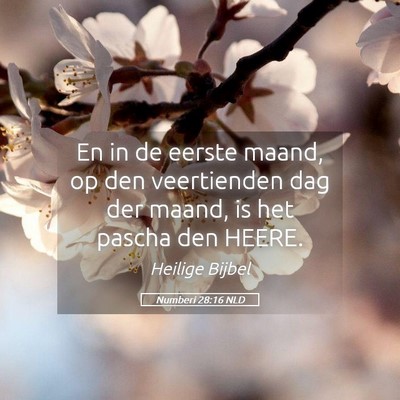 Picture 05 - Numberi 28:16 NLD - En in de eerste maand, op den veertienden dag der - Bible Verse Picture