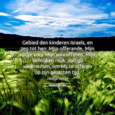 Picture 05 - Numberi 28:2 NLD - Gebied den kinderen Israels, en zeg tot hen: Mijn - Bible Verse Picture