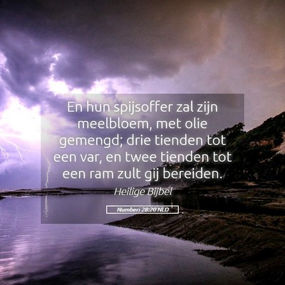 Picture 05 - Numberi 28:20 NLD - En hun spijsoffer zal zijn meelbloem, met olie - Bible Verse Picture