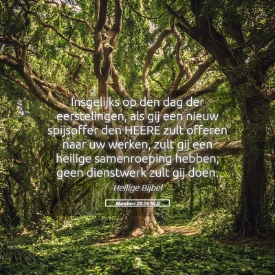 Picture 05 - Numberi 28:26 NLD - Insgelijks op den dag der eerstelingen, als gij - Bible Verse Picture