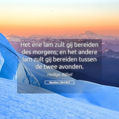 Picture 05 - Numberi 28:4 NLD - Het ene lam zult gij bereiden des morgens; en het - Bible Verse Picture