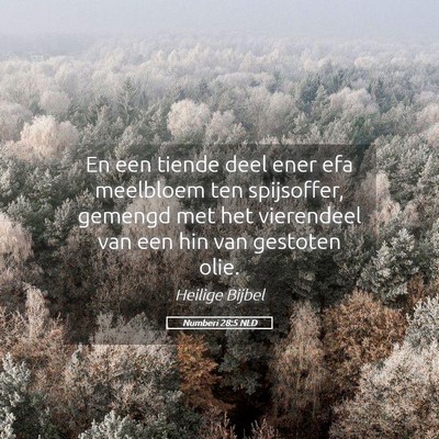 Picture 05 - Numberi 28:5 NLD - En een tiende deel ener efa meelbloem ten - Bible Verse Picture