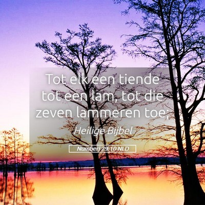 Picture 05 - Numberi 29:10 NLD - Tot elk een tiende tot een lam, tot die zeven - Bible Verse Picture
