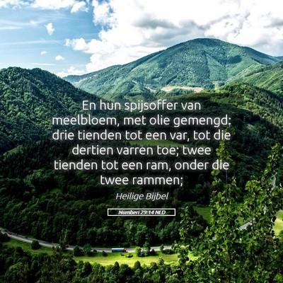 Picture 05 - Numberi 29:14 NLD - En hun spijsoffer van meelbloem, met olie - Bible Verse Picture