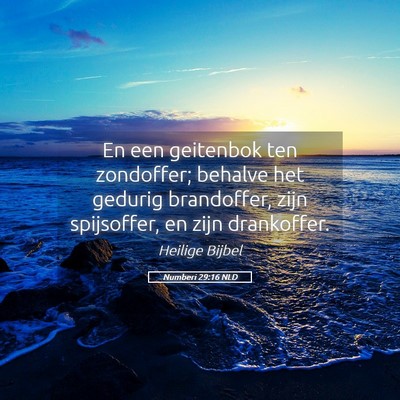 Picture 05 - Numberi 29:16 NLD - En een geitenbok ten zondoffer; behalve het - Bible Verse Picture