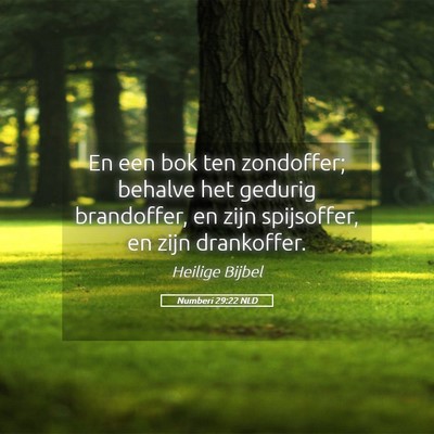 Picture 05 - Numberi 29:22 NLD - En een bok ten zondoffer; behalve het gedurig - Bible Verse Picture