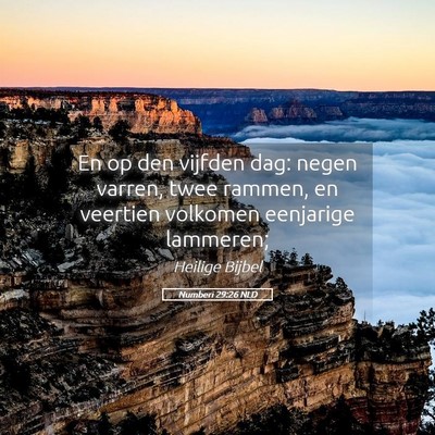 Picture 05 - Numberi 29:26 NLD - En op den vijfden dag: negen varren, twee rammen, - Bible Verse Picture