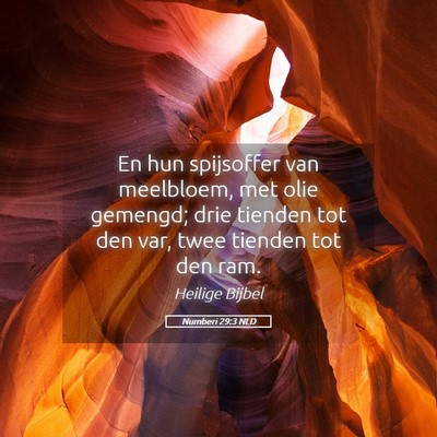 Picture 05 - Numberi 29:3 NLD - En hun spijsoffer van meelbloem, met olie - Bible Verse Picture