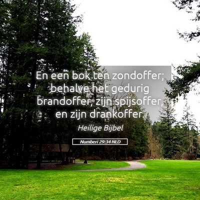 Picture 05 - Numberi 29:34 NLD - En een bok ten zondoffer; behalve het gedurig - Bible Verse Picture