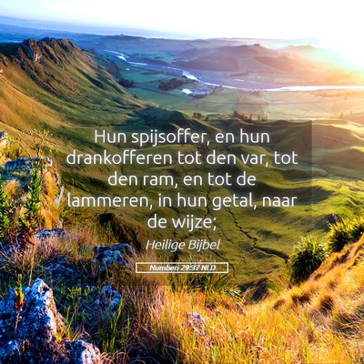 Picture 05 - Numberi 29:37 NLD - Hun spijsoffer, en hun drankofferen tot den var, - Bible Verse Picture