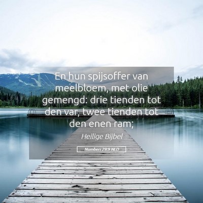 Picture 05 - Numberi 29:9 NLD - En hun spijsoffer van meelbloem, met olie - Bible Verse Picture