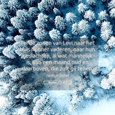 Picture 05 - Numberi 3:15 NLD - Tel de zonen van Levi naar het huis hunner - Bible Verse Picture