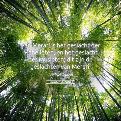 Picture 05 - Numberi 3:33 NLD - Van Merari is het geslacht der Mahelieten, en het - Bible Verse Picture