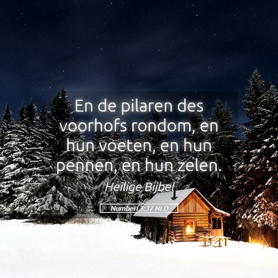 Picture 05 - Numberi 3:37 NLD - En de pilaren des voorhofs rondom, en hun voeten, - Bible Verse Picture