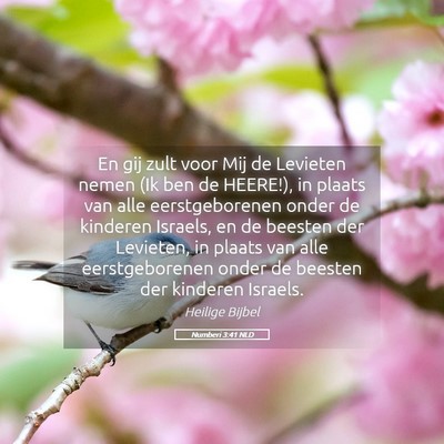 Picture 05 - Numberi 3:41 NLD - En gij zult voor Mij de Levieten nemen (Ik ben de - Bible Verse Picture