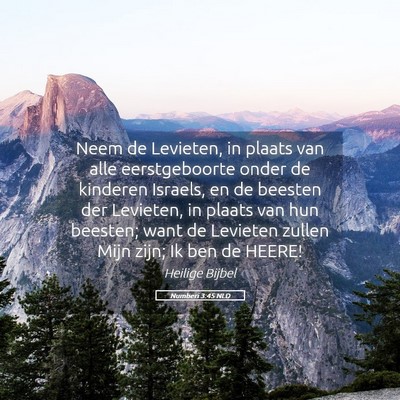 Picture 05 - Numberi 3:45 NLD - Neem de Levieten, in plaats van alle - Bible Verse Picture