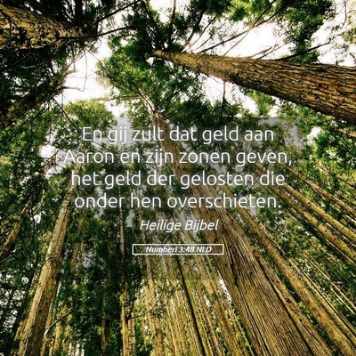 Picture 05 - Numberi 3:48 NLD - En gij zult dat geld aan Aaron en zijn zonen - Bible Verse Picture