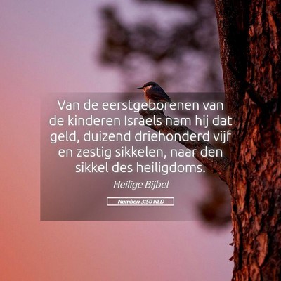 Picture 05 - Numberi 3:50 NLD - Van de eerstgeborenen van de kinderen Israels nam - Bible Verse Picture