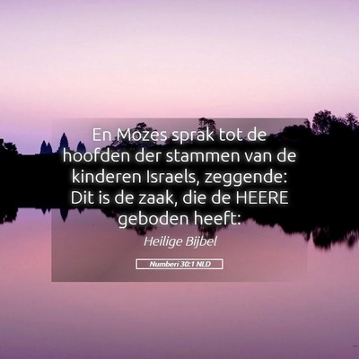 Picture 05 - Numberi 30:1 NLD - En Mozes sprak tot de hoofden der stammen van de - Bible Verse Picture