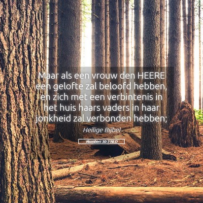 Picture 05 - Numberi 30:3 NLD - Maar als een vrouw den HEERE een gelofte zal - Bible Verse Picture