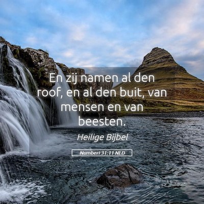 Picture 05 - Numberi 31:11 NLD - En zij namen al den roof, en al den buit, van - Bible Verse Picture